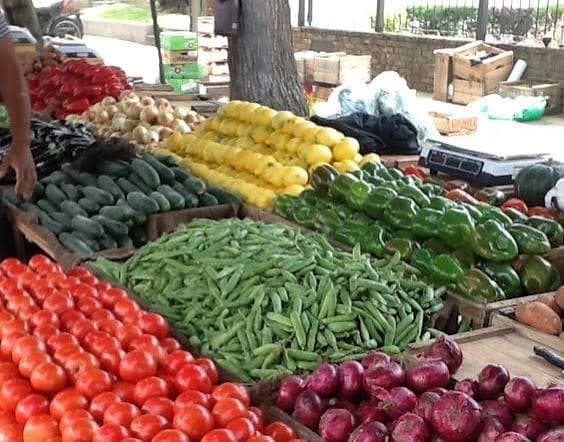 Fresh farm vegetables